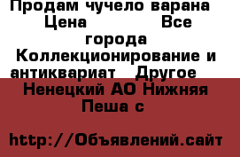 Продам чучело варана. › Цена ­ 15 000 - Все города Коллекционирование и антиквариат » Другое   . Ненецкий АО,Нижняя Пеша с.